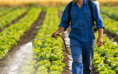 How To Apply Imidacloprid To Vegetable Gardens