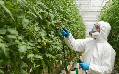 Glyphosate And Dicamba Comparison | Efficacy, Weed Spectrum & Crop Safety